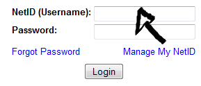 towson university email login step 1